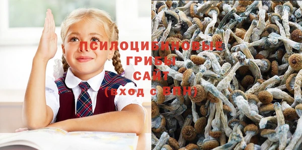PSILOCYBIN Алексин
