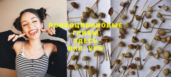 mdpv Алзамай