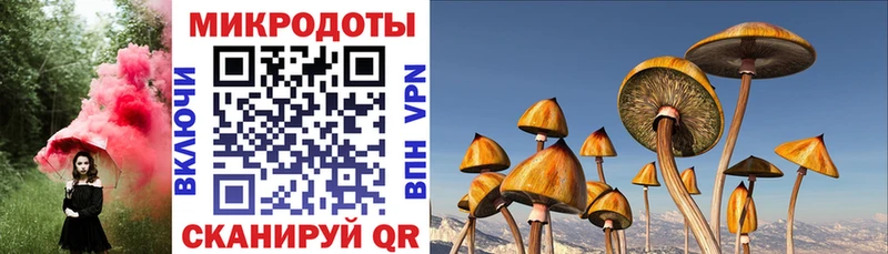 Галлюциногенные грибы Magic Shrooms  KRAKEN ссылки  Карабаново 