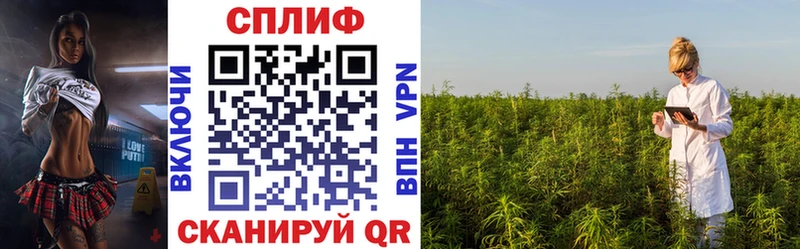 Бошки марихуана LSD WEED  закладка  Карабаново 